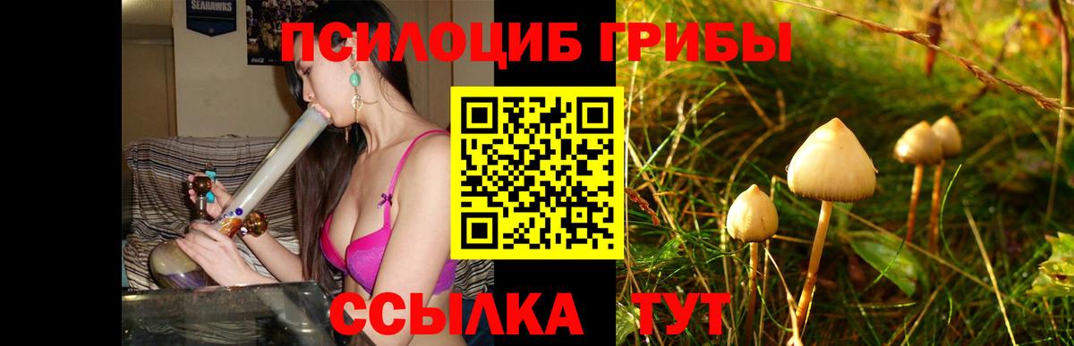 Псилоцибиновые грибы мицелий  Вход с VPN  Галлюциногенные грибы мухоморы  Кызыл 